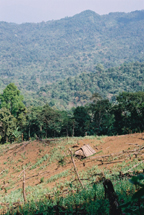Hmong homes, Long District, Lao PDR