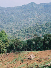 Hmong community, Long District, Lao PDR