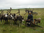 reindeer herdsman