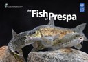 Fish of Prespa