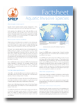Aquatic Invasives Factsheet