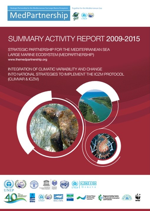 Summary Activity Report 2009-2015 