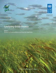 Catalysing Ocean Finance Cover