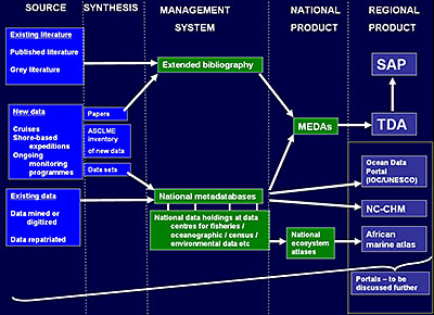 This figure describes the process of data and information synthesis for MEDA, TDA and SAP development.