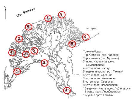 Точки устья. Дельта реки Селенга на карте. Подробная карта дельты реки Селенга. Карта проток дельты реки Селенга. Устье реки Селенга на карте.