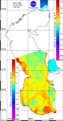 hla060820.gif