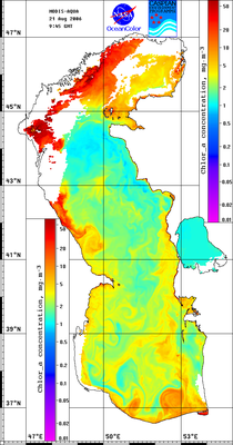 hla060821.gif