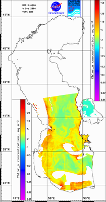 hla060904.gif
