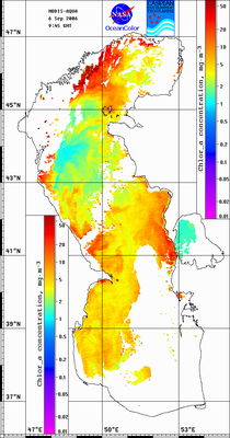 hla060906.gif