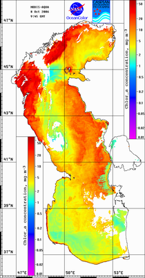hla061008.gif