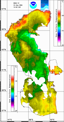 stnoaa060824.gif