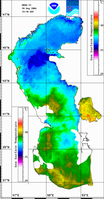 stnoaa060828.gif
