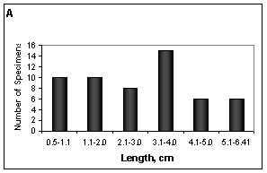 mnem_attach14_fig3_1.jpg