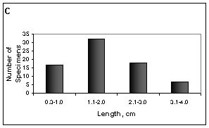 mnem_attach14_fig3_3.jpg