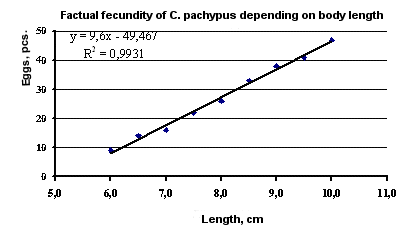 Factual fecundity of C. pachypus depending on body length