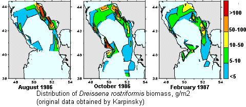 Distribution of Dreissena rostriformis biomass, g/m2