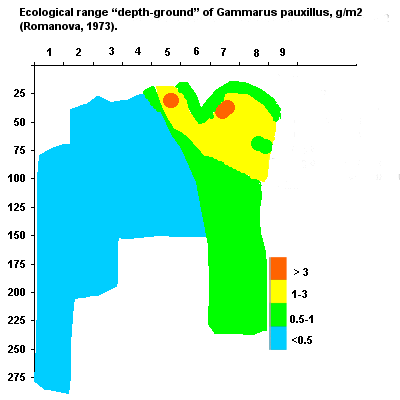 Ecological range �depth-ground� of Gammarus pauxillus, g/m2