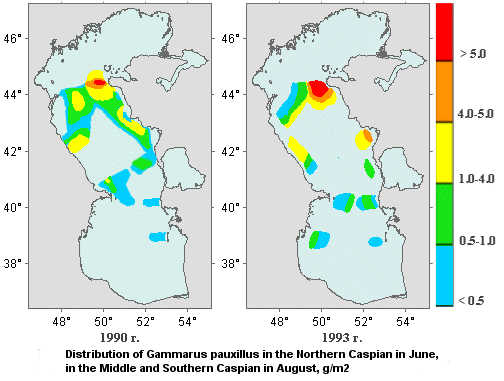 Distribution of Gammarus pauxillus