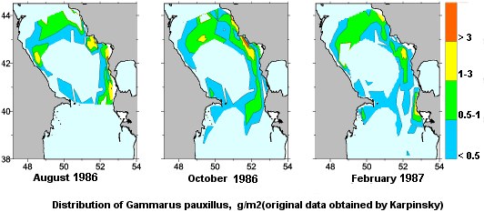Distribution of Gammarus pauxillus in August, October 1986 and February 1987