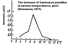 The biomass of Gammarus pauxillus at various temperatures, g/m2