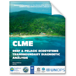 CLME PROJECT