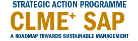 CLME PROJECT