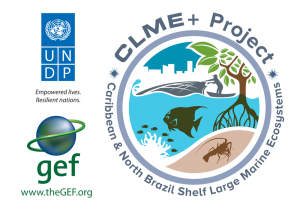 CLME+ Project Logo