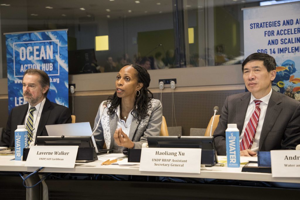 oceanconf_undp_side_event_lwalker