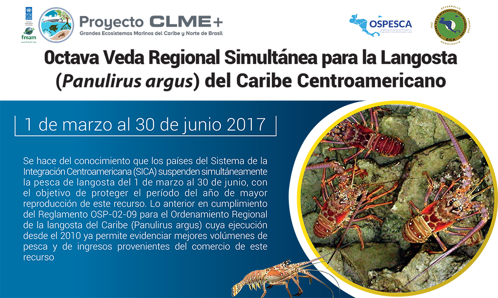 veda_langosta_clme_twitter