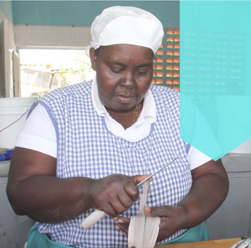 Managing Flyingfish Fisheries in the Eastern Caribbean