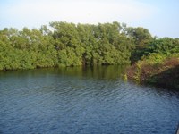 Mida Creek