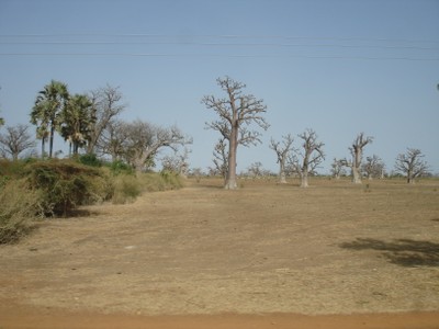inland-from-the-coastline-this-is-a-typical-landscape.jpg