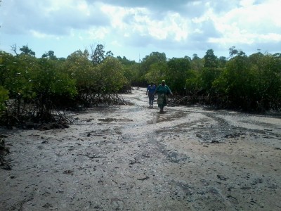 One of the Mangroves officer with a local leader of mangroves group at the of the identified area.jpg