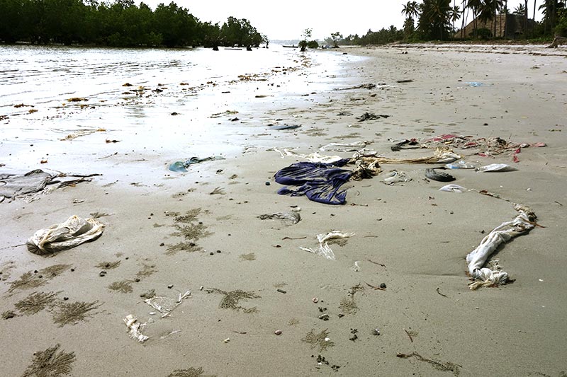 Solid waste pollution washed onto the shore photo 2.jpg