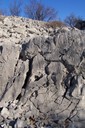 This is a good example of karst limestone dissolution fractures