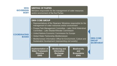 The Drin CORDA institutional structure