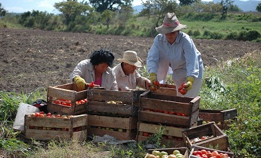 project-highlights-pic6