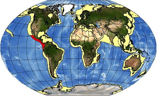 Pacific Central-American Coastal LME