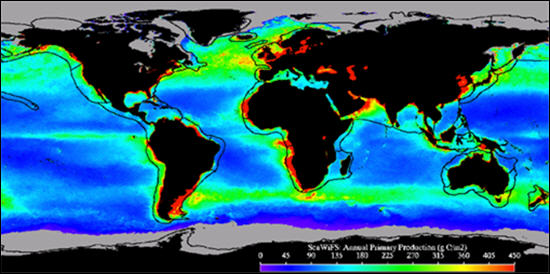 Ocean Productivity