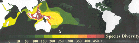 Image showing Species Diversity