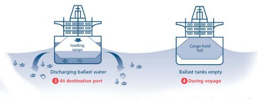 diagram showing discharge of ballast water