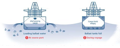 diagram showing loading of ballast water