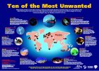 Image of Poster Ten of the Most Unwanted