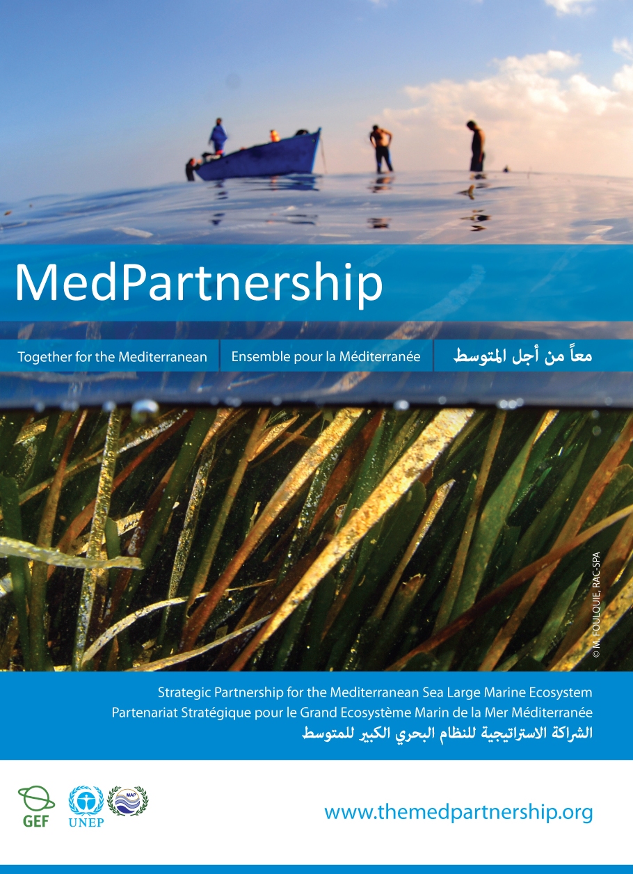 MedPartnership Leaflet - 2013
