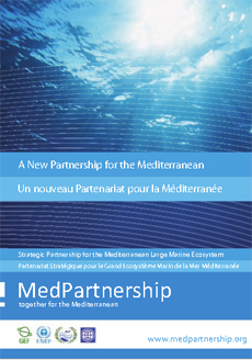 The MedPartnership Leaflet