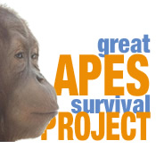Great Apes Survival Project
