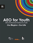 AEO-for-Youth Report