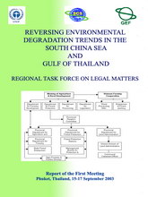 Report of the First Meeting of the Regional Task Force on Legal Matters