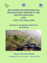 Report of the Fourth Meeting of the Regional Working Group on Seagrass