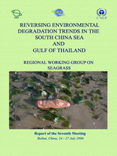 Report of the Seventh Meeting of the Regional Working Group on Seagrass